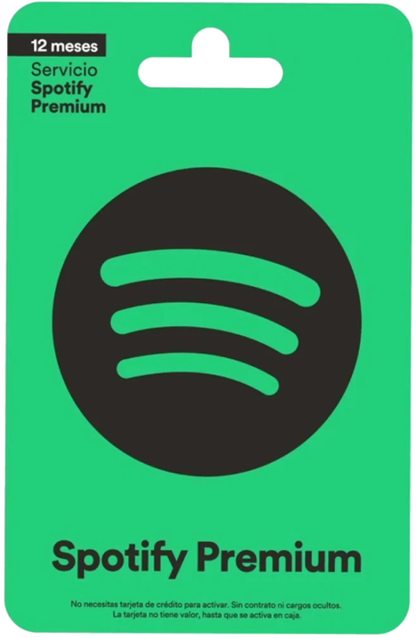 Spotify - 12 Meses